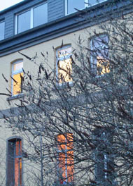 Gelbes Haus Ehrenfeld